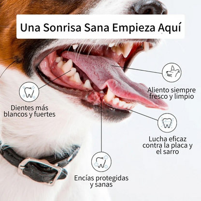 Control De La Placa Y El Sarro