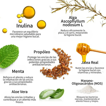 Control De La Placa Y El Sarro