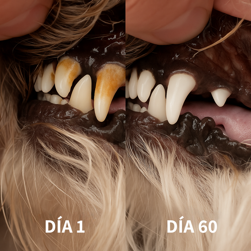 Why Buy This Product